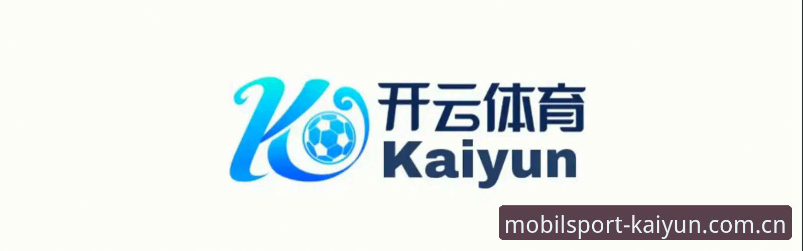 开云体育平台手机版兼容性深度评测：避开常见安装陷阱，v2.3.1版赛程数据实测